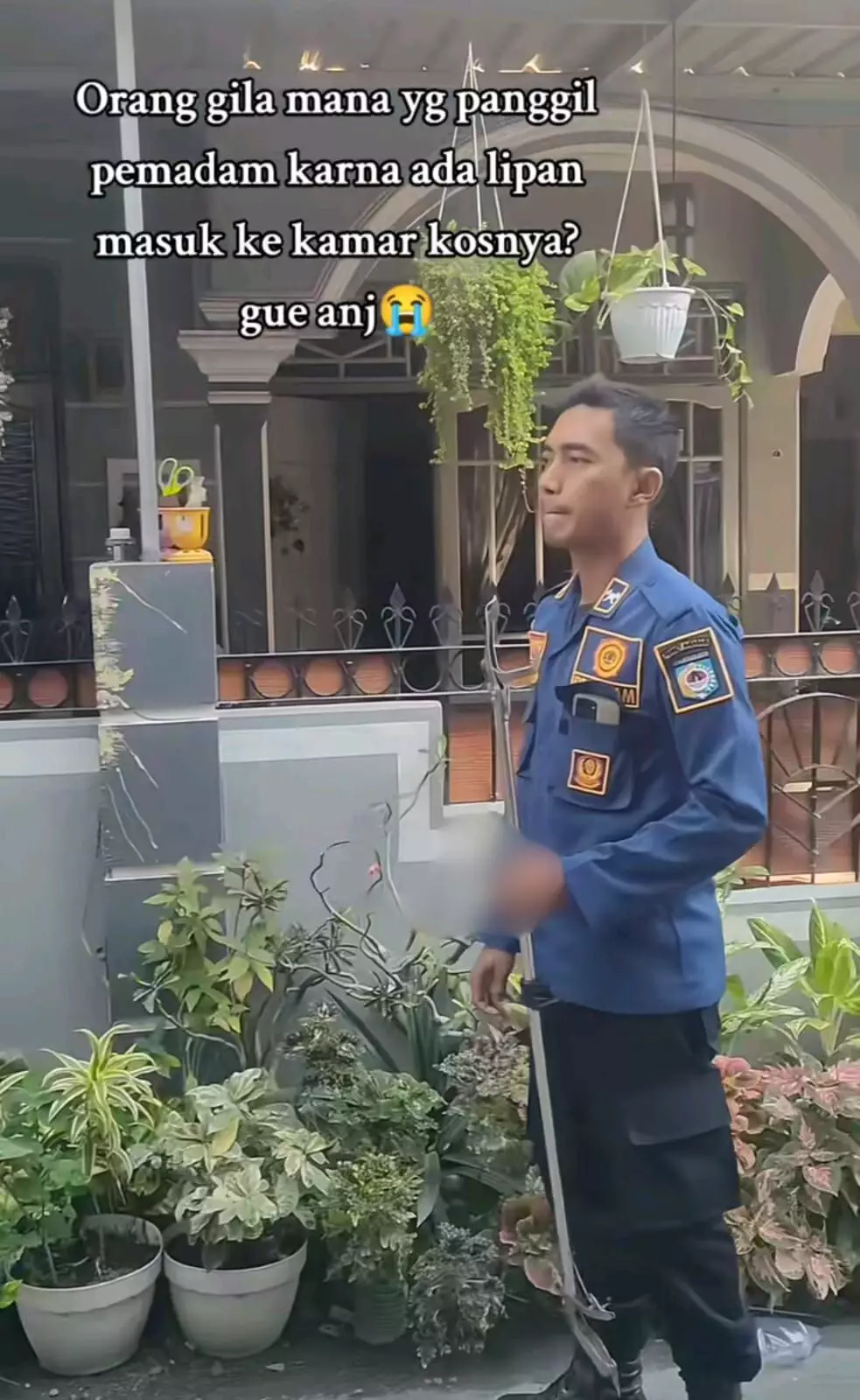 wanita hubungi Damkar karena lipan berbagai sumber