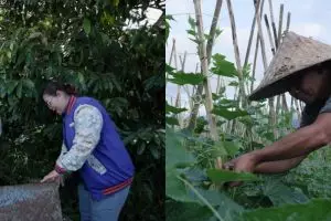 Mengenal Angseri, desa BRILiaN dengan tata kelola terbaik