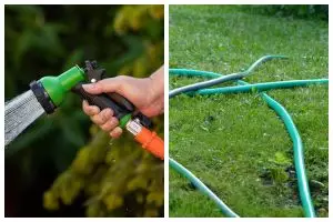 Tanpa sitrun, ini trik mudah bersihkan selang berlumut cuma pakai 1 alat dapur