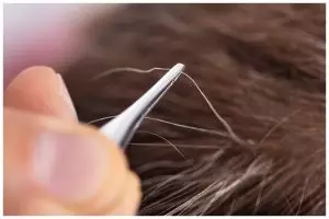 [KUIS] Tahukah kamu mencabut uban berisiko pada kesehatan? Cek bahayanya lewat 5 pertanyaan ini