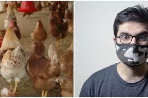 Varian baru flu burung ancam Asia Pasifik, kenali ciri-ciri, penyebab, dan cara pencegahannya