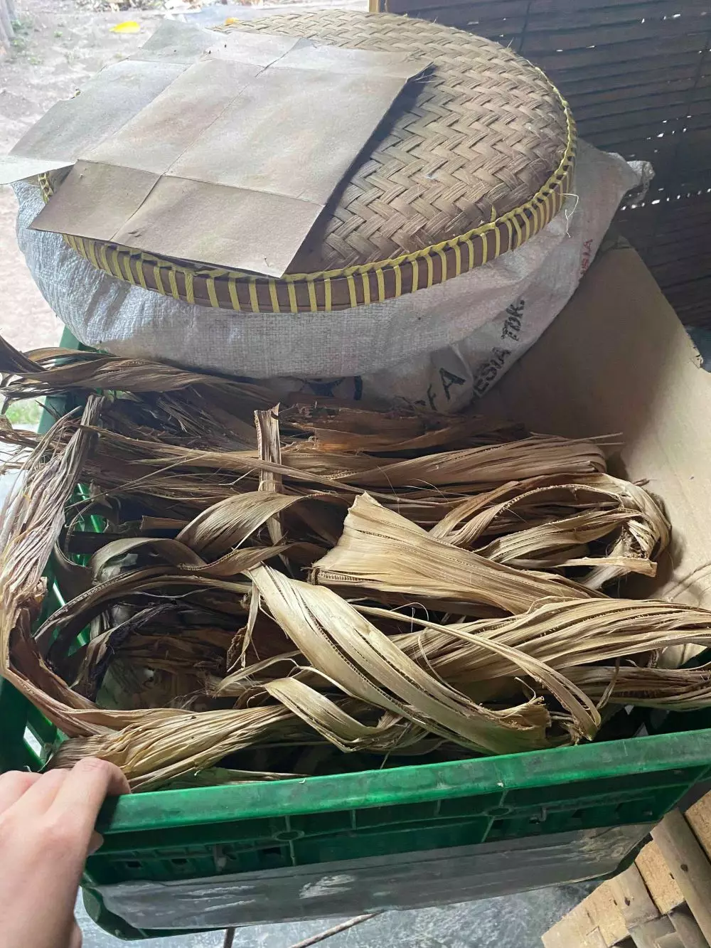 Liputan Palka Kreatif © 2024 brilio.net