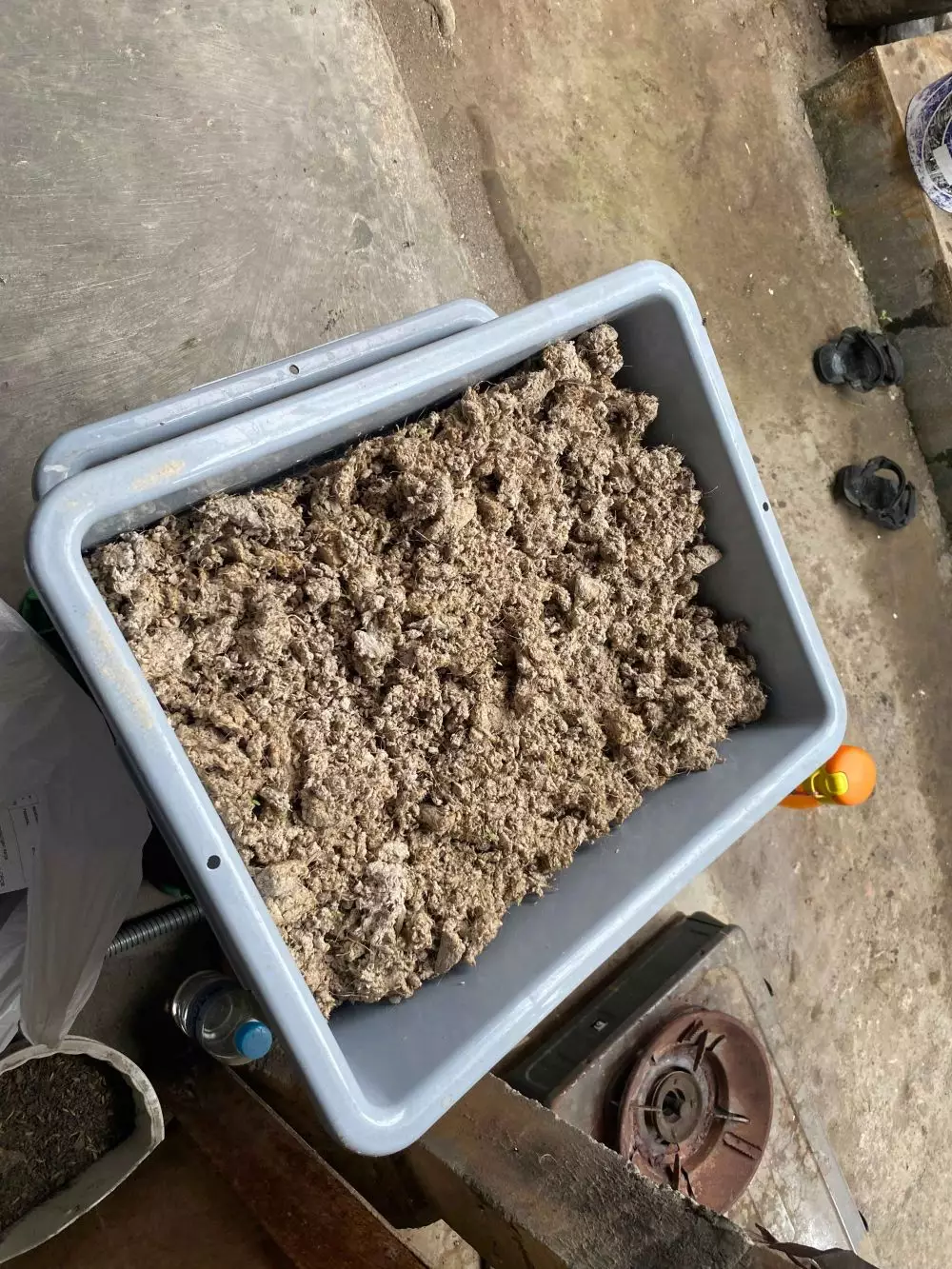 Liputan Palka Kreatif © 2024 brilio.net