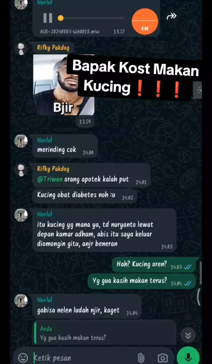 bapak kos makan kucing TikTok bapak kos makan kucing TikTok