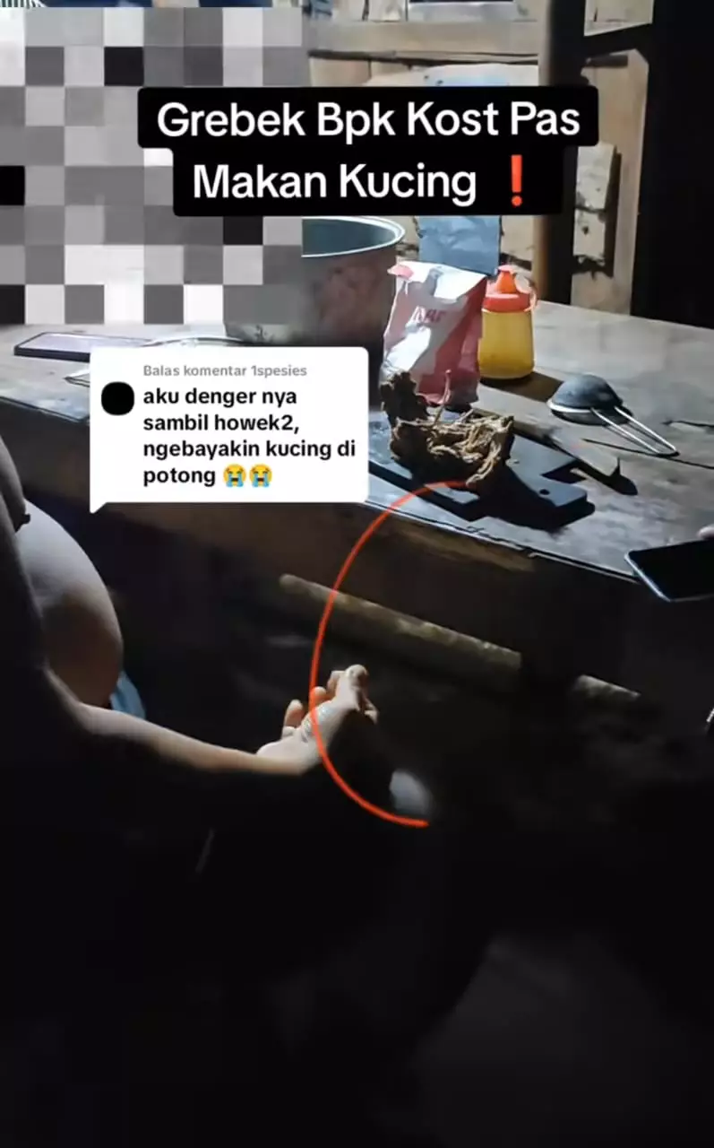 bapak kos makan kucing TikTok bapak kos makan kucing TikTok