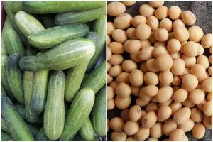 [KUIS] Benar atau salah, cek apakah sayuran dan buah ini bisa bikin keputihan?