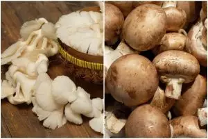 [KUIS] Uji pengetahuanmu, jamur-jamur ini namanya apa dan cocok dimasak apa ya?