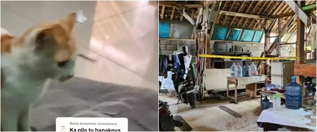 Sudah ditangani polisi, ini 7 fakta terbaru kasus bapak kos di Semarang yang makan kucing