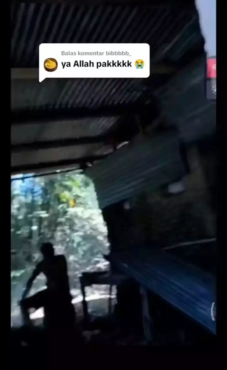 fakta terbaru kasus bapak kos di Semarang yang makan kucing berbagai sumber fakta terbaru kasus bapak kos di Semarang yang makan kucing berbagai sumber