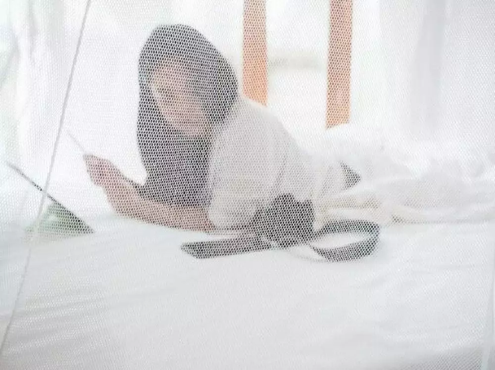 cara bikin nyamuk tak betah di rumah freepik.com