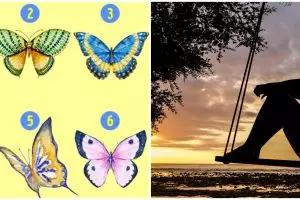 [KUIS] Warna kupu-kupu yang kamu pilih dalam gambar ini ungkap karakter tersembunyimu