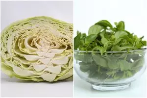 [KUIS] Lalapan favoritmu ungkap sisi lain dirimu yang bikin gebetan terpesona dan susah lupa