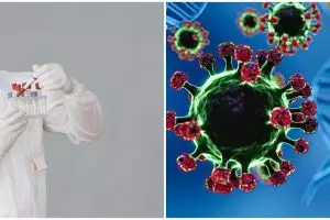 Wajib diwaspadai, kenali bakteri super hypervirulent Klebsiella pneumoniae, pahami gejala & penularan