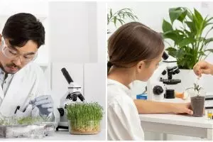 55 Contoh kalimat membran, lengkap dengan penjelasannya