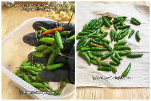 Jangan dibuang, ini trik atasi cabai rawit kering agar segar lagi dan tak berubah warna saat dipakai