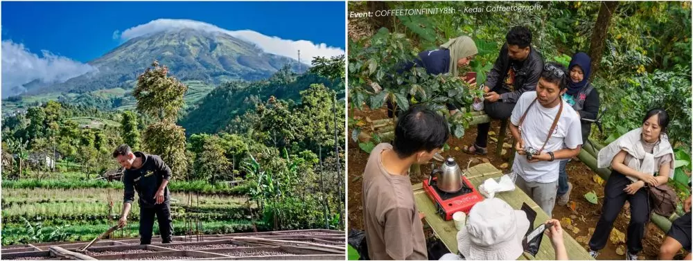 Kisah Rinto penggerak kopi di Kaliangkrik © 2024 brilio.net Kisah Rinto penggerak kopi di Kaliangkrik © 2024 brilio.net