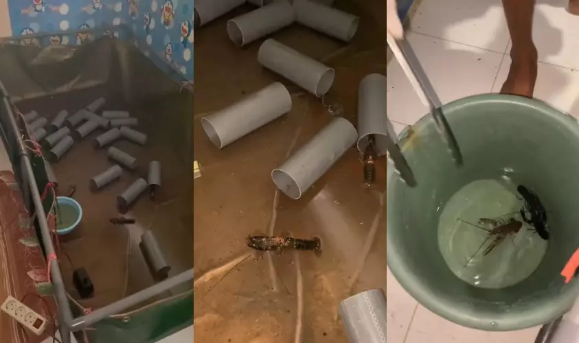 Pemilik kos geledah kamar penyewa © TikTok Pemilik kos geledah kamar penyewa © TikTok