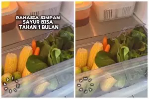 Tanpa kontainer khusus, ini trik simpan sayur agar awet segar 1 bulan di kulkas pakai 1 alat sederhana