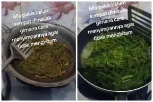 Trik simpan sayur pakis ini bikin tampilannya tetap hijau, tak menghitam meski dibiarkan di suhu ruang