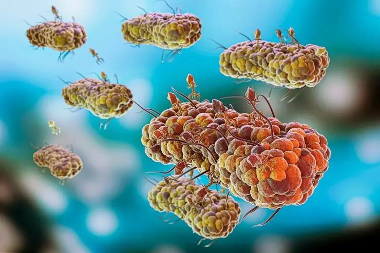 Waspada konsumsi antibiotik tanpa resep renggut nyawa jutaan orang di dunia freepik.com  Waspada konsumsi antibiotik tanpa resep renggut nyawa jutaan orang di dunia freepik.com