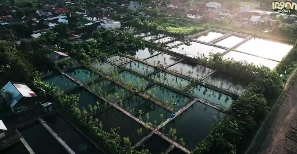 Lulusan S2 UGM ini gaku sulit dapat kerja © YouTube