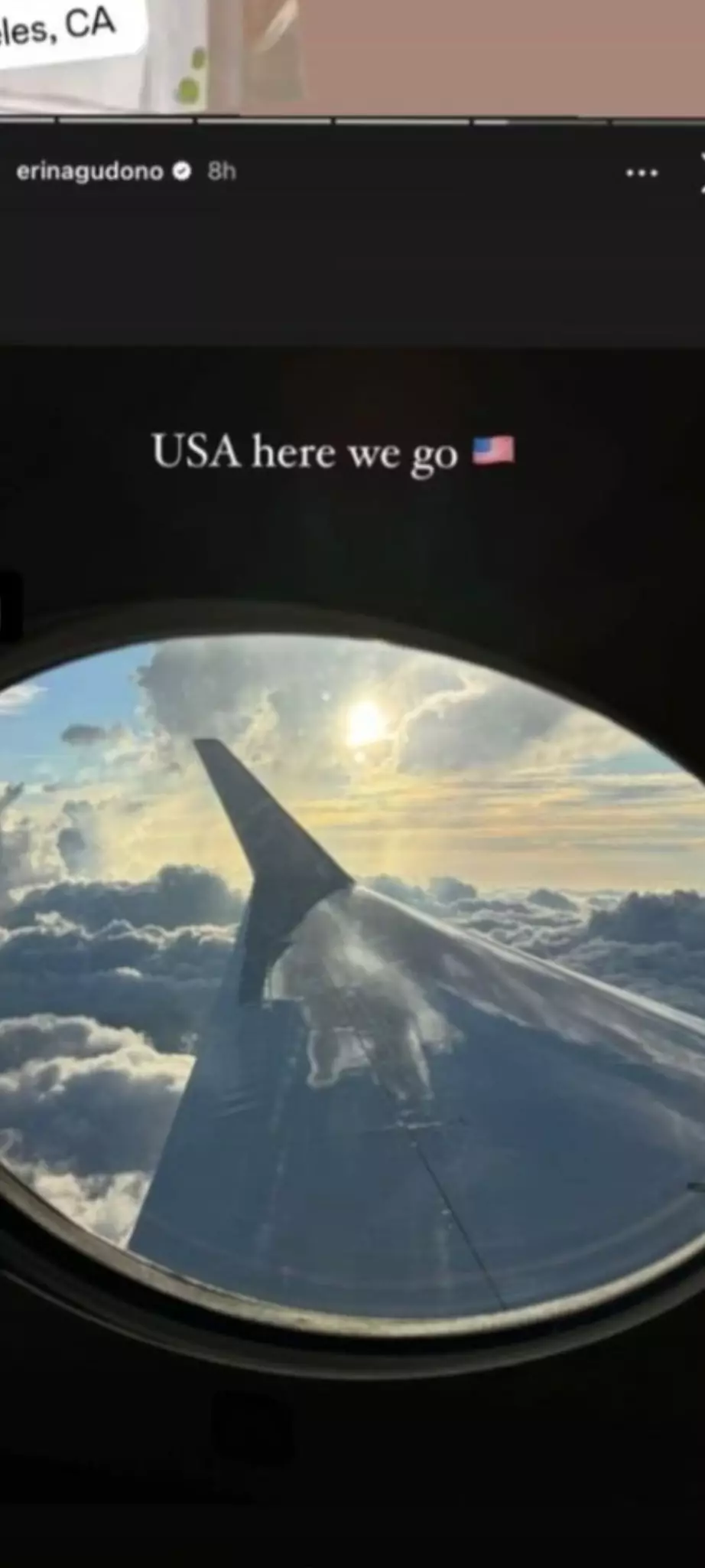 Erina Gudono naik private jet © berbagai sumber