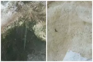 Tak perlu ditaburi bahan pembersih, ini cara basmi noda lumut di lantai semen cuma modal 1 alat dapur