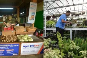 Jadi milestone sejarah inklusi keuangan di Indonesia, jumlah AgenBRILink tembus 1 Juta