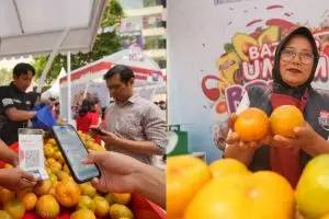 Usaha klaster jeruk ini makin berkembang berkat pemberdayaan BRI