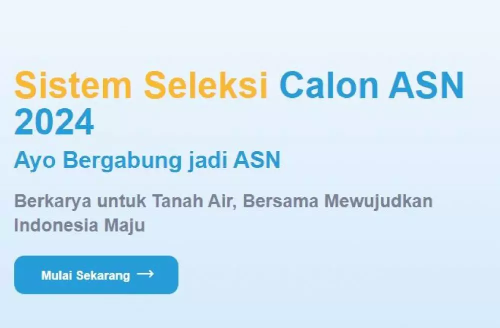 faktor penyebab gagal seleksi CPNS 2024 sscasn.bkn.go.id faktor penyebab gagal seleksi CPNS 2024 sscasn.bkn.go.id