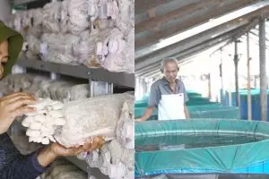 Dukung pengembangan ekonomi desa, program desa BRILiaN 2024 terus berlanjut