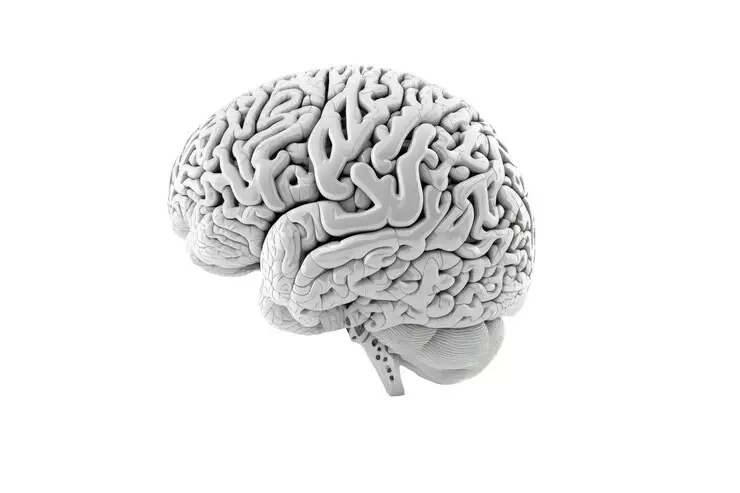 Mikroplastik ditemukan di otak manusia freepik.com