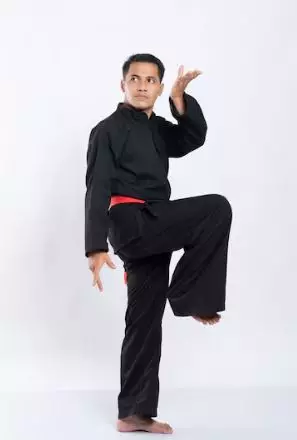 Sejarah pencak silat di Indonesia freepik.com