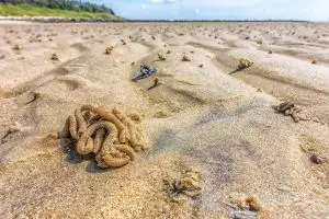 3 Pola hidup sehat untuk menjaga kesehatan sistem ekskresi