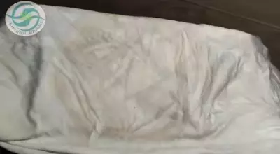 trik bersihkan kasur buluk penuh tungau pakai 1 alat dapur © berbagai sumber trik bersihkan kasur buluk penuh tungau pakai 1 alat dapur © berbagai sumber