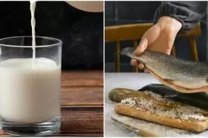Susu ikan jadi pengganti susu sapi untuk program makan gratis, ini 7 fakta yang perlu diketahui