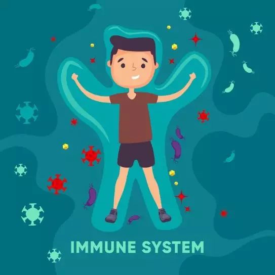 11 manfaat sarang burung walet © 2024 brilio.net