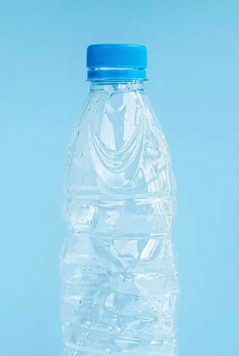 9 Cara mengusir lalat yang ampuh © 2024 brilio.net