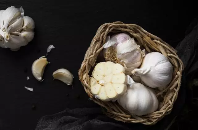 9 Cara mengusir lalat yang ampuh © 2024 brilio.net