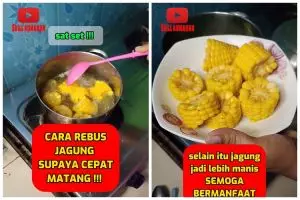 Bukan ditambah garam, begini cara merebus jagung agar cepat matang dan empuk dalam 3 menit