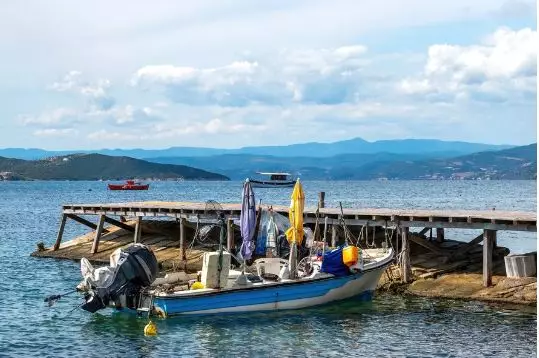 Ekspor pasir laut banyak ditentang karena bisa merusak lingkungan © 2024 brilio.net