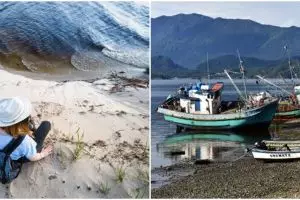 Ekspor pasir laut banyak ditentang karena bisa merusak lingkungan, ini 7 bahaya yang mengintai