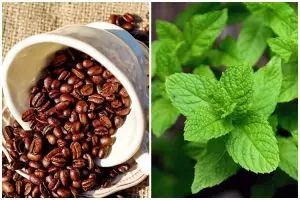 [KUIS] Aroma makanan apa yang paling cocok dengan karaktermu? Temukan jawabannya di sini