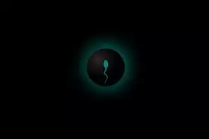 Dua macam fertilisasi berdasarkan tempat terjadinya: Penjelasan lengkap dan contohnya