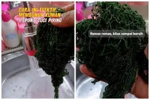 Kerap jadi sarang kuman, ini trik cuci sabut cuci piring agar lebih higienis dan tahan lama dipakai