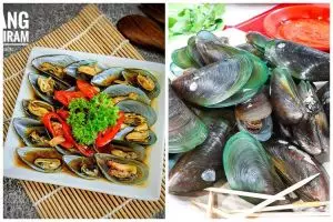 11 Kreasi menu masakan rumahan dari kerang hijau yang praktis, gurih, dan sedap