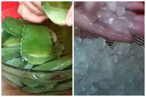 Trik menyuci lidah buaya agar aman dikonsumsi dan rasanya tidak pahit gunakan 2 bahan
