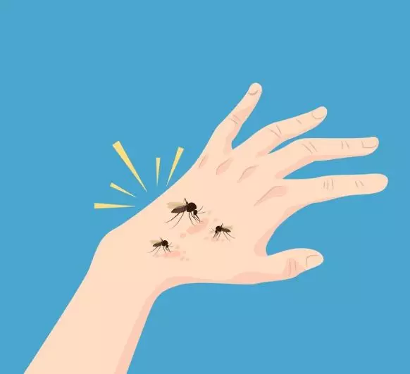 Apa itu penyakit Japanese Encephalitis © 2024 brilio.net Apa itu penyakit Japanese Encephalitis © 2024 brilio.net