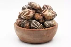 [KUIS] Satu jenis kerang favoritmu ungkap bagaimana kamu mengatasi stres