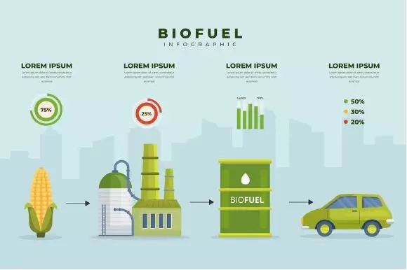 perbedaan bioetanol, biodiesel, dan biogas © 2024 brilio.net